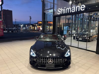 2025 Mercedes-BENZ GT AMG 缩略图 16