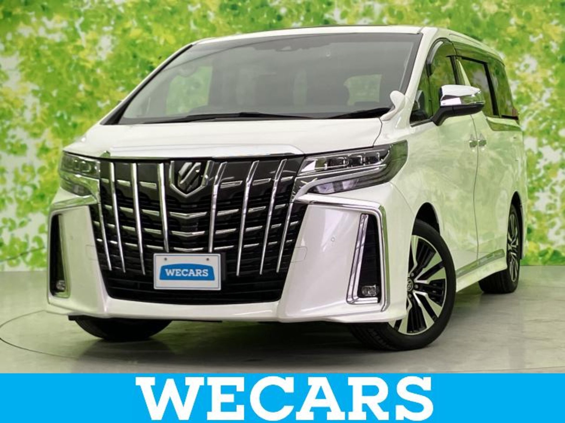 TOYOTA ALPHARD - View 1