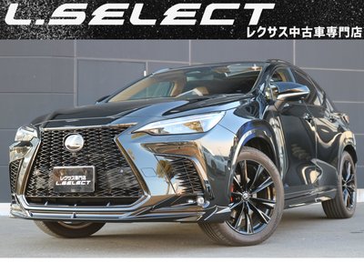 LEXUS NX - 1
