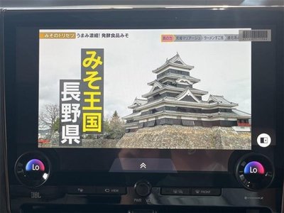 2025 Toyota ALPHARD thumbnail 19