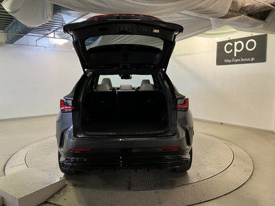 2023 Lexus NX — миниатюра 28