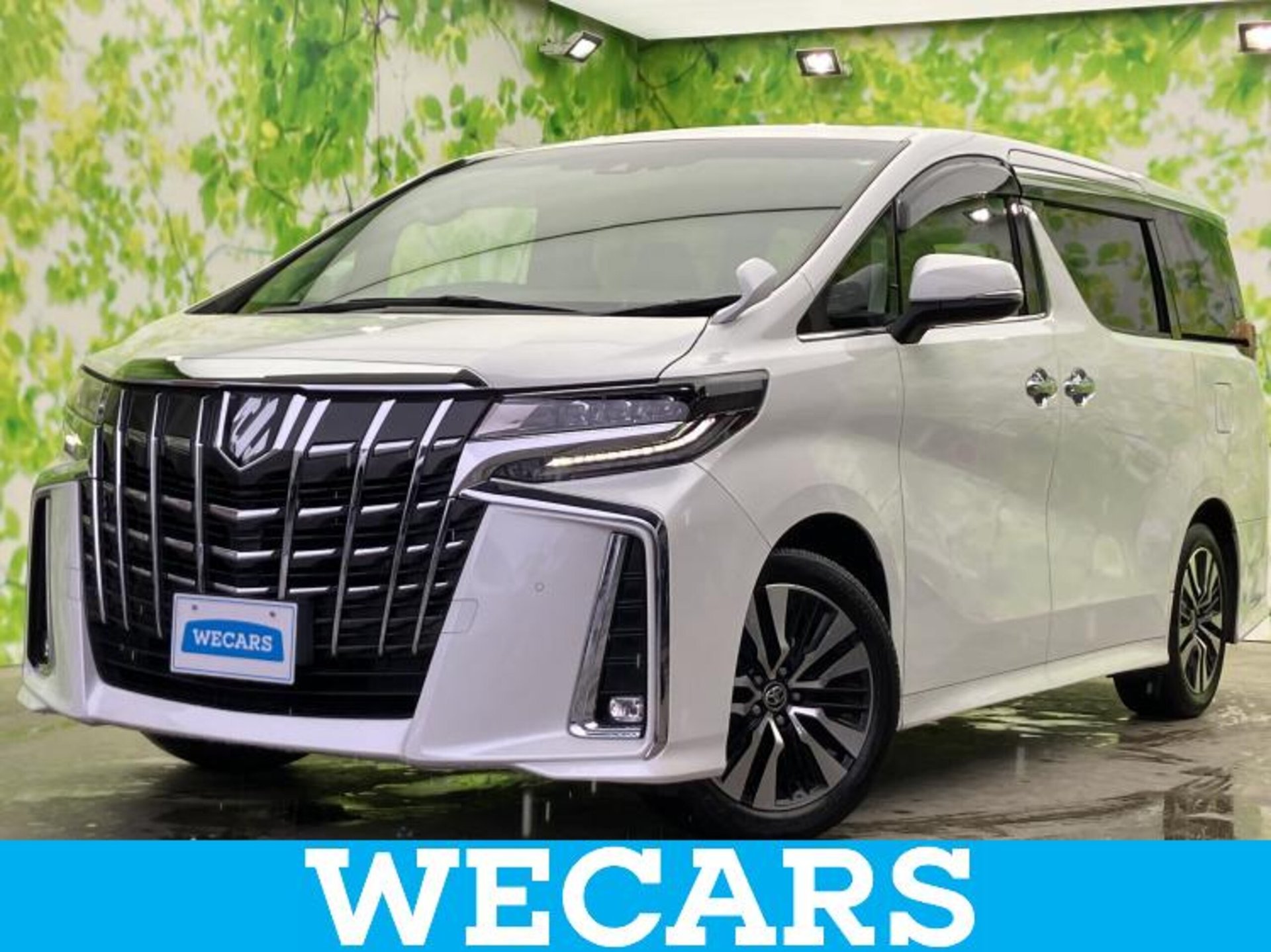 TOYOTA ALPHARD - View 1