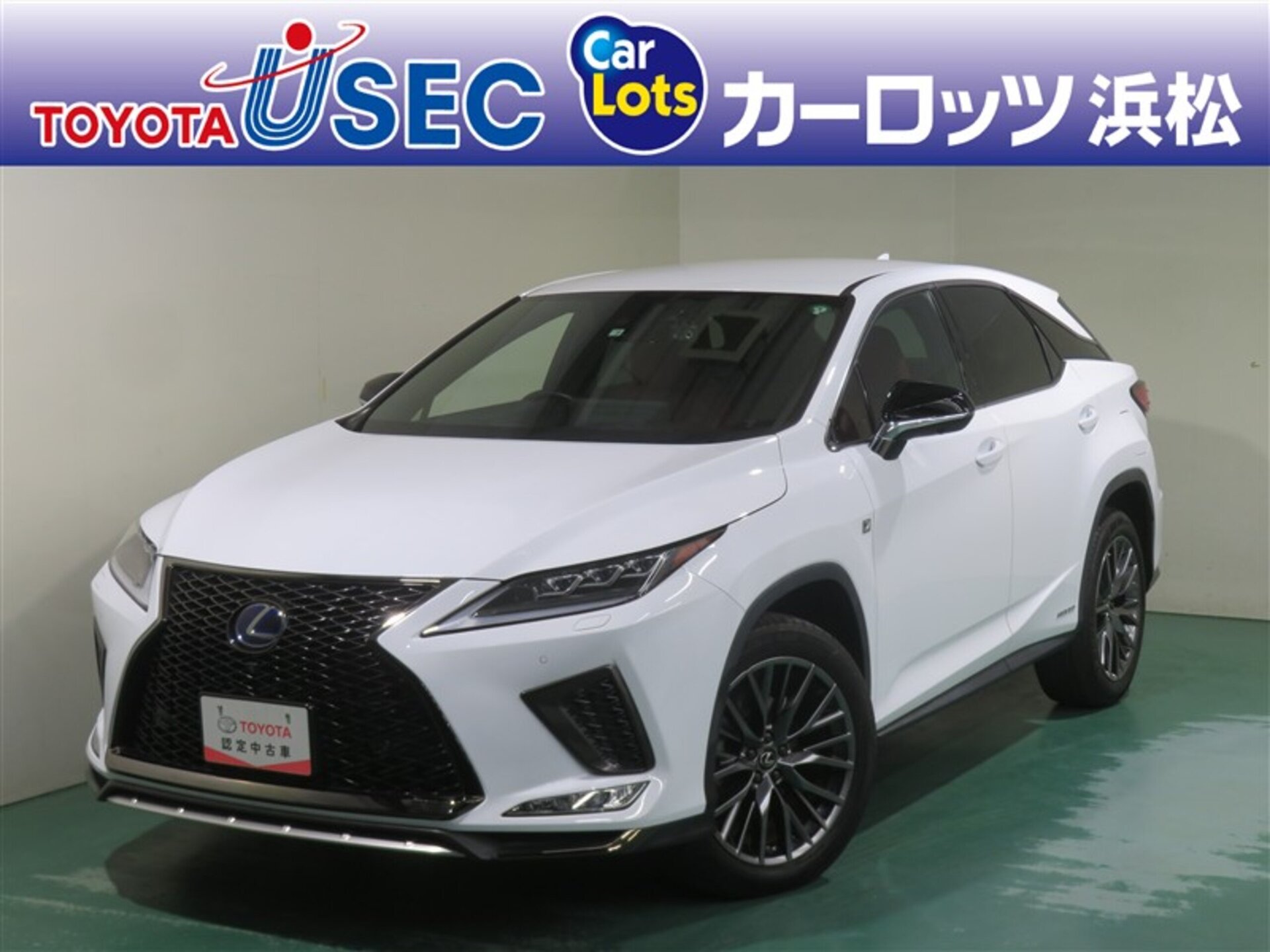 LEXUS RX - View 1