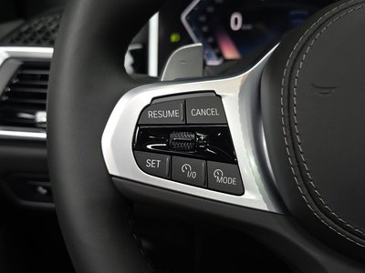 2025 BMW X6 缩略图 31
