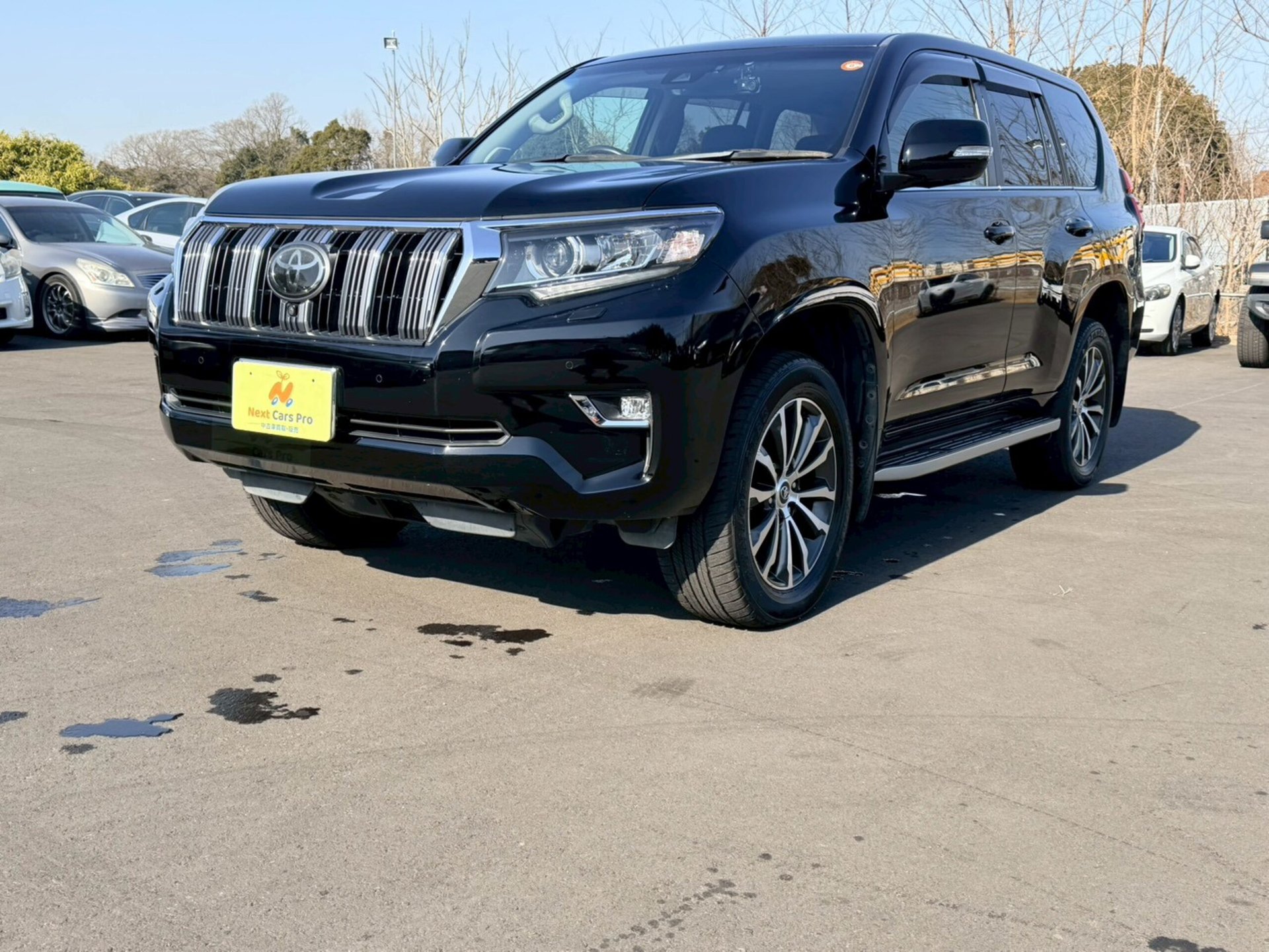 TOYOTA LAND CRUISER PRADO - View 1