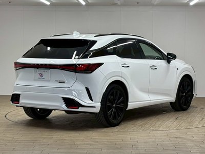 2023 Lexus RX thumbnail 31