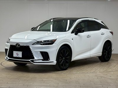 2023 Lexus RX thumbnail 30