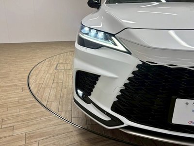 2023 Lexus RX thumbnail 67