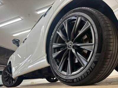 2023 Lexus RX thumbnail 19