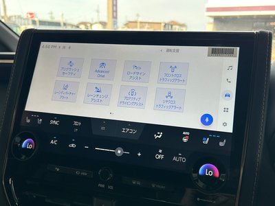 2025 TOYOTA ALPHARD 缩略图 66