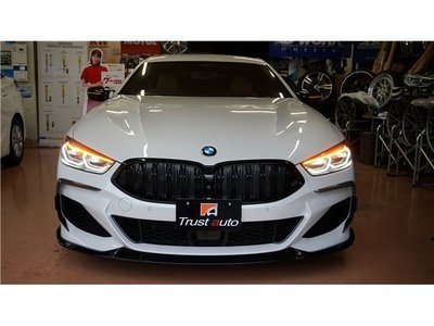 BMW 8 SERIES - 9