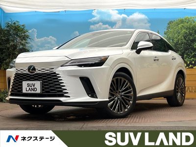 LEXUS RX - 1