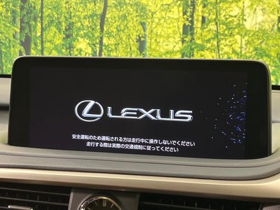 LEXUS RX - 4
