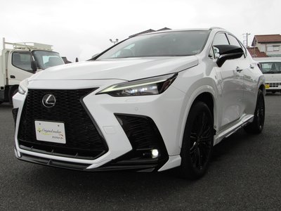 2023 Lexus NX — миниатюра 59
