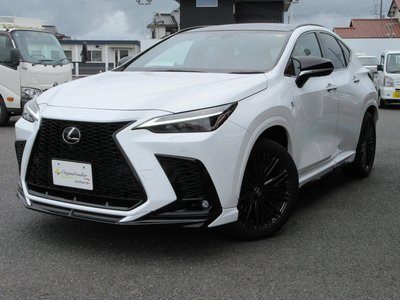 2023 Lexus NX — миниатюра 15