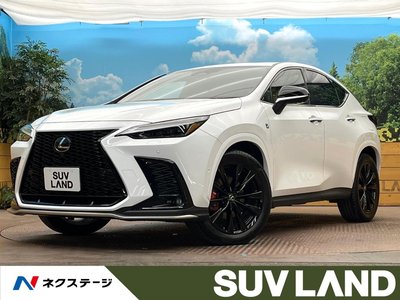 LEXUS NX - 1