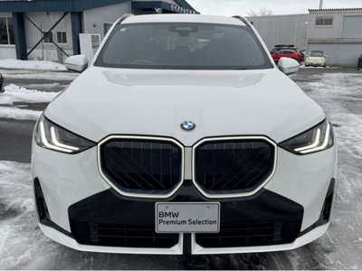 2024 BMW X3 缩略图 22