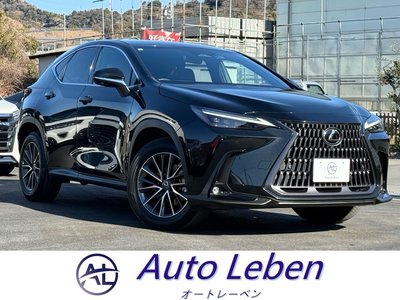 LEXUS NX - 1