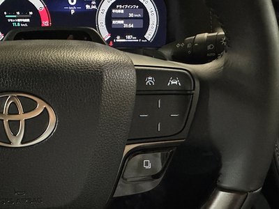 2025 Toyota VELLFIRE 缩略图 14