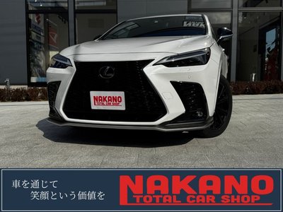 LEXUS NX - 1