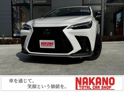 LEXUS NX - 1