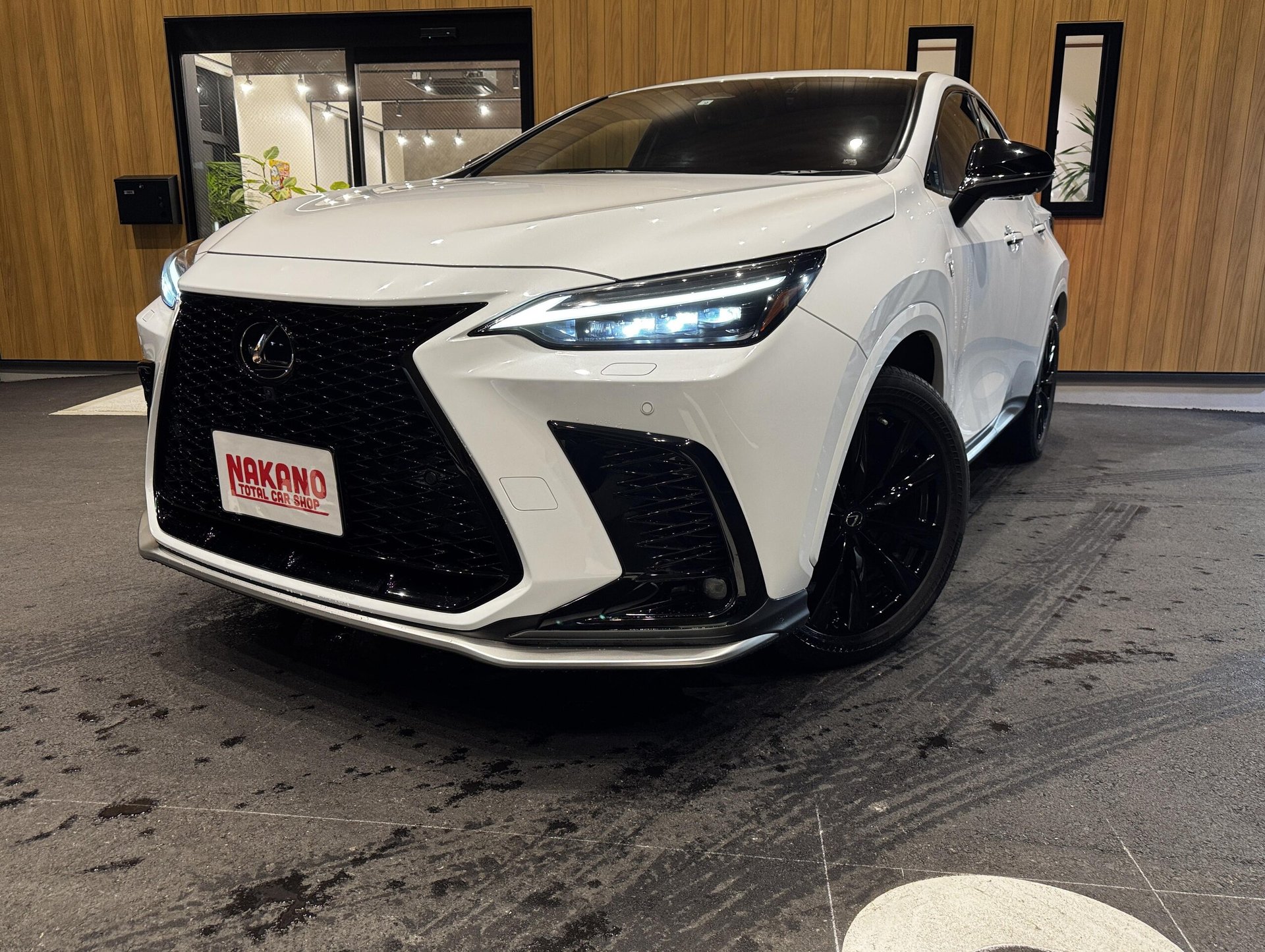 LEXUS NX - View 1