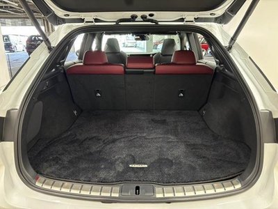 2023 Lexus RX 缩略图 13