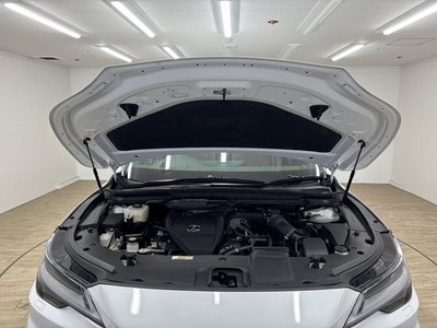 2023 Lexus RX 缩略图 64