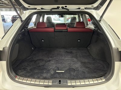 2023 Lexus RX 缩略图 62