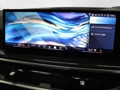 2024 BMW X7 thumbnail 31