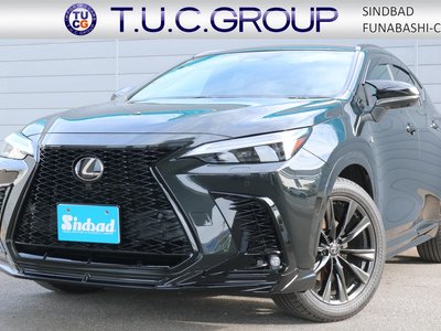 LEXUS NX - 1