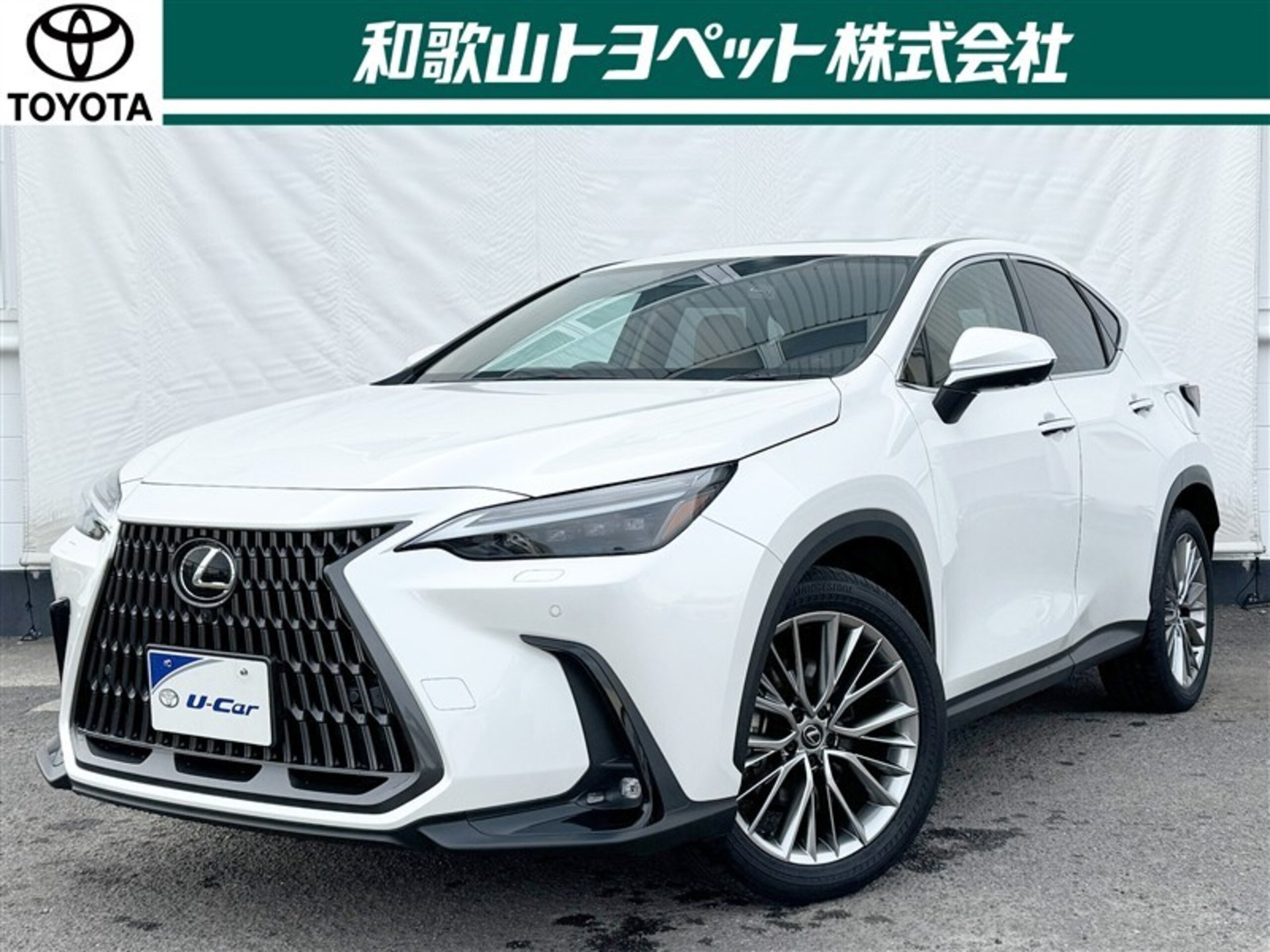 LEXUS NX - View 1