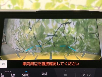 2025 Toyota ALPHARD 缩略图 45