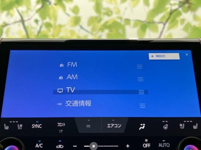 2025 Toyota ALPHARD 缩略图 11