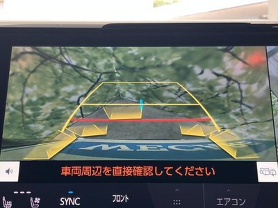 2025 Toyota ALPHARD 缩略图 12