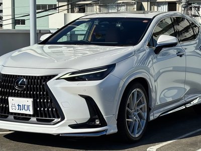 LEXUS NX - 1