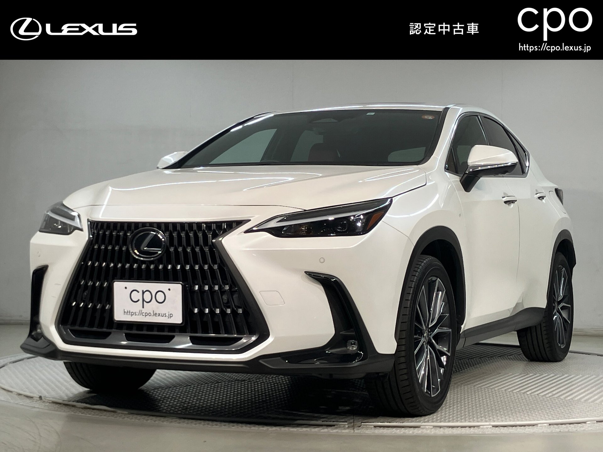 LEXUS NX - View 1