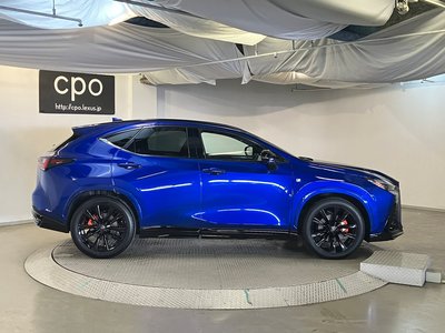 LEXUS NX - 10