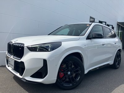 BMW X1 - 1