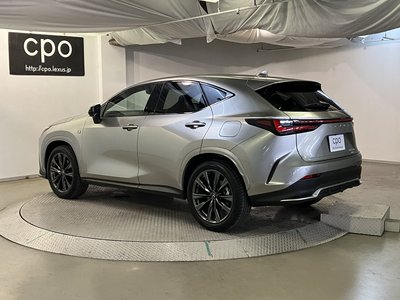 2024 Lexus NX — фото 2