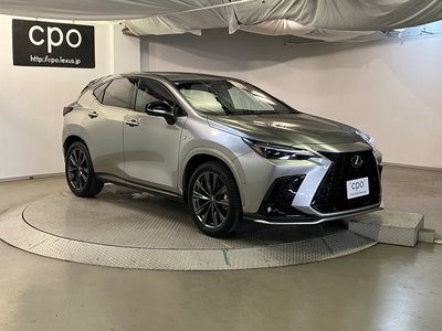 2024 Lexus NX — фото 10