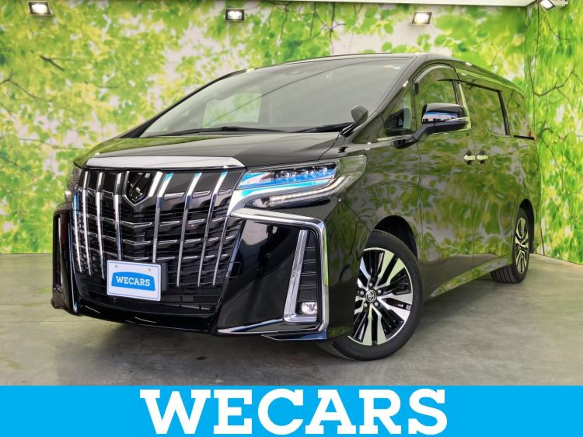 TOYOTA ALPHARD - View 1