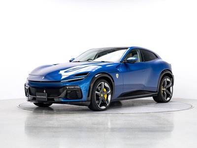 FERRARI PUROSANGUE - 7