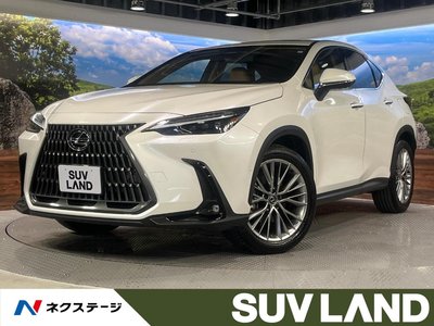 LEXUS NX - 1