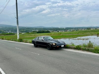 1982 Nissan FAIRLADY Z photo 8