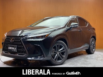 LEXUS NX - 1