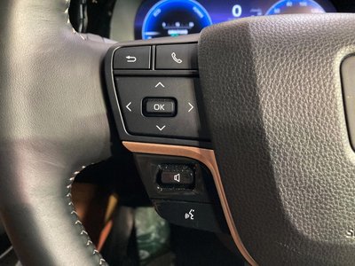 2024 Toyota CROWN SPORT 缩略图 47