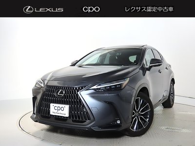 LEXUS NX - 1