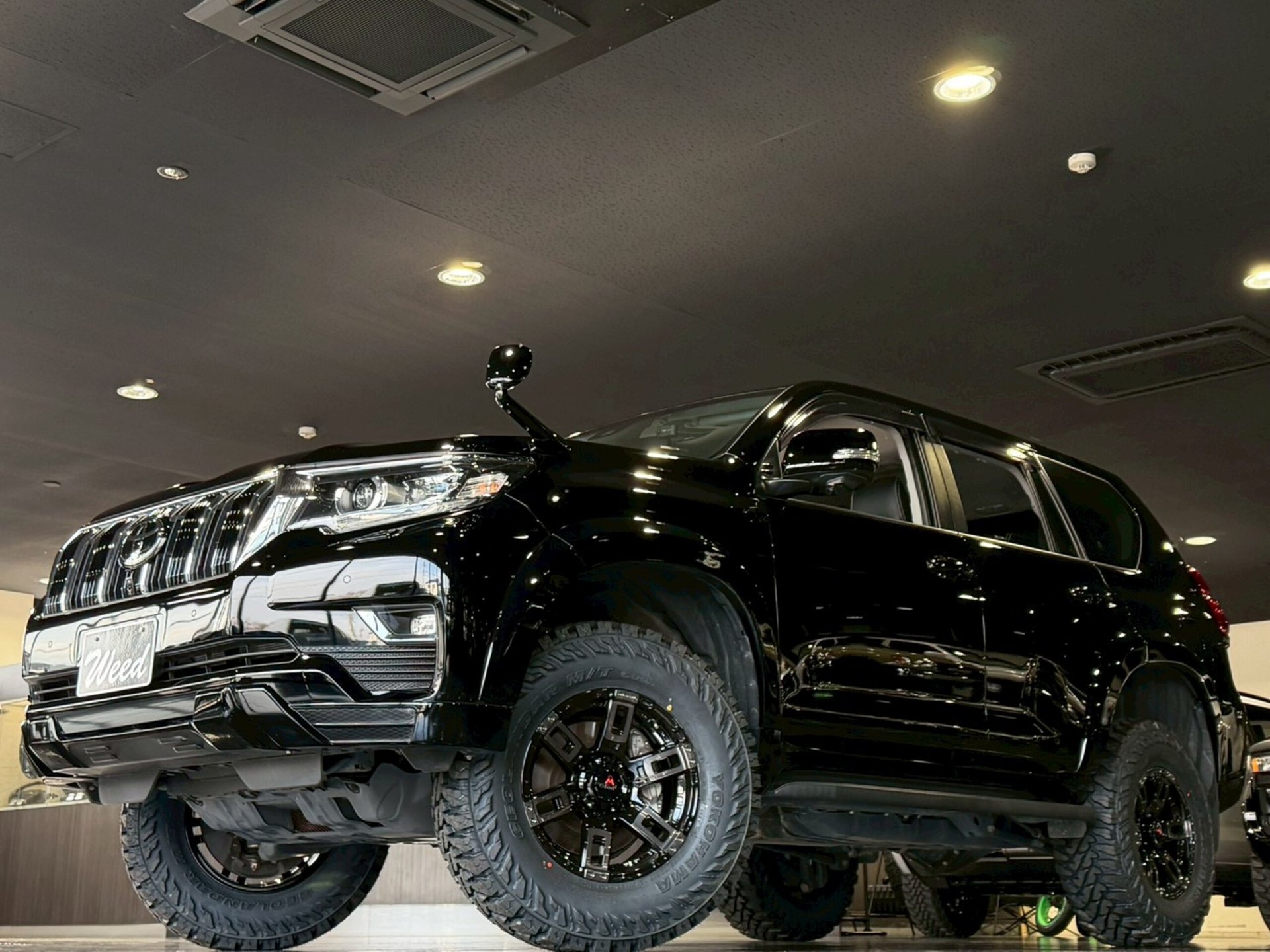 TOYOTA LAND CRUISER PRADO - View 1