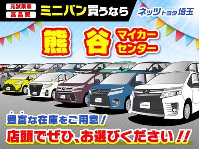 2023 Toyota ALPHARD 缩略图 20